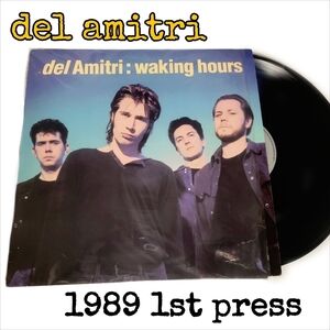 1989 Del Amitri Waking Hours 1st Press Greman Import Vinyl Record
